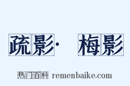 疏影·梅影是什么意思的图片